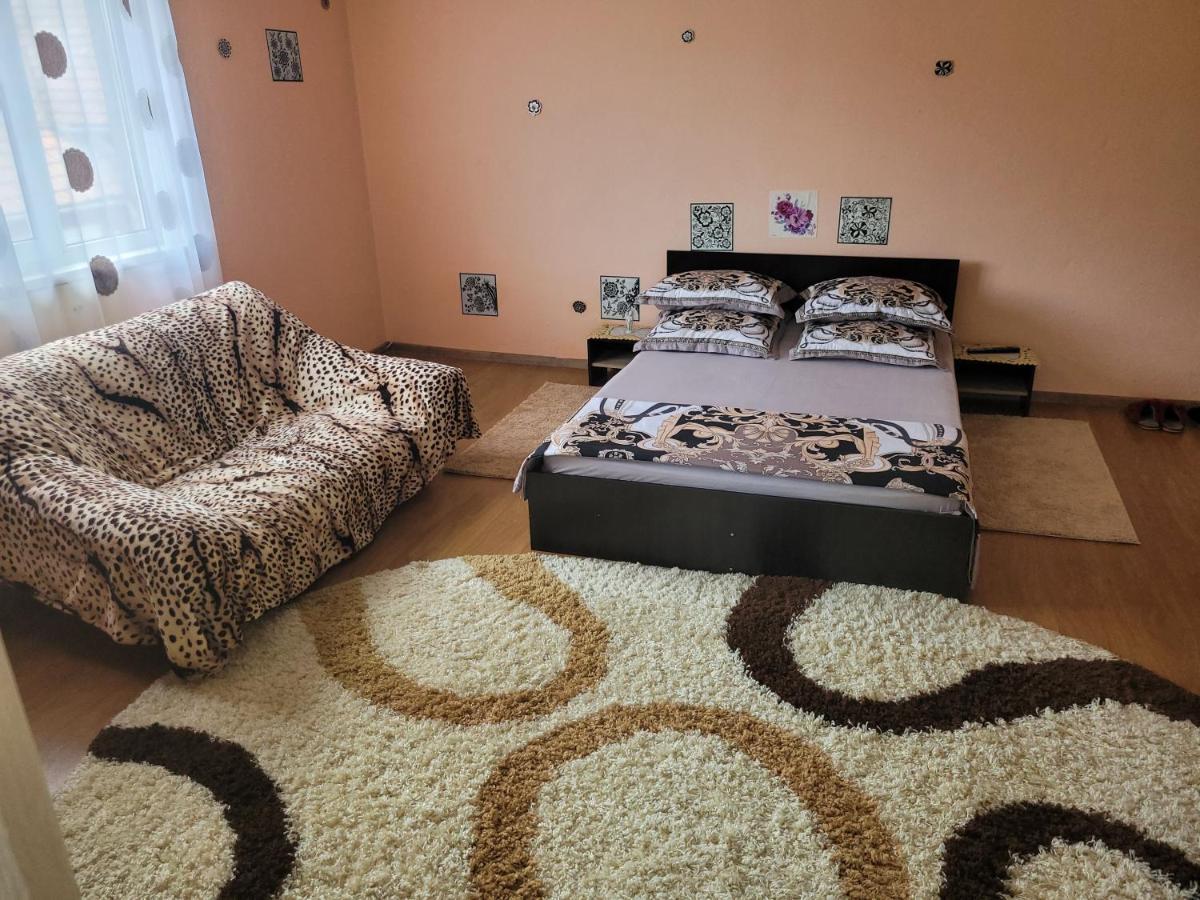 Vila La Izvorul Putinei Haţeg Exterior foto