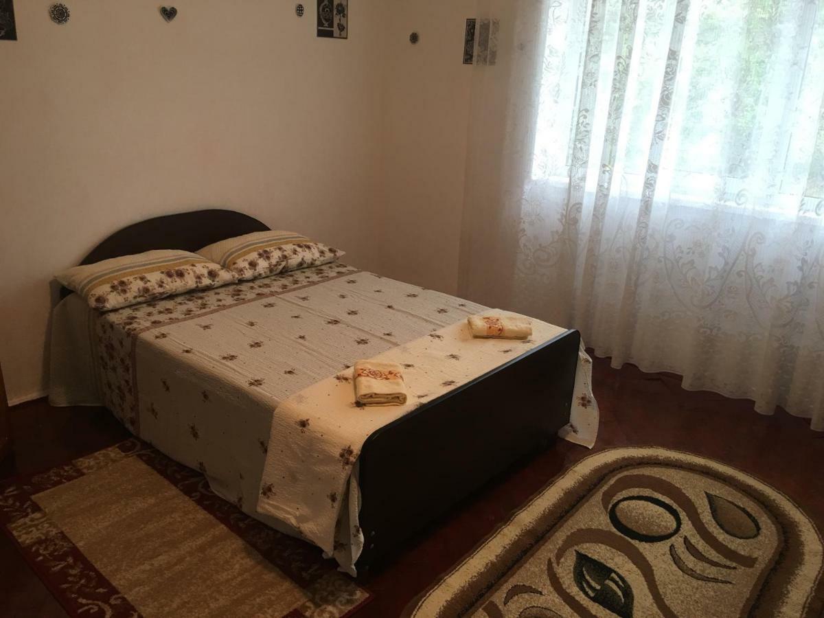 Vila La Izvorul Putinei Haţeg Exterior foto