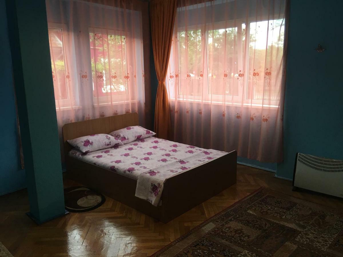 Vila La Izvorul Putinei Haţeg Exterior foto